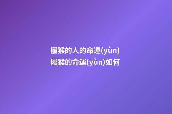 屬猴的人的命運(yùn) 屬猴的命運(yùn)如何